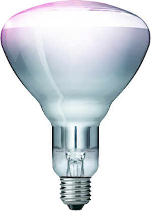Philips Speziallampe BR125 IR 150W E27 Frontansicht