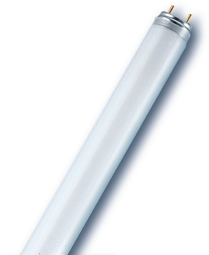 Osram Leuchtstofflampe 36W 930 Tageslichtweiß Frontansicht