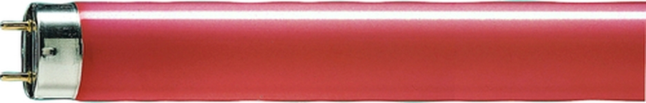 Philips Leuchtstofflampe TL-D Colored 36W Red Frontansicht