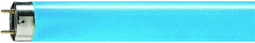 Philips Leuchtstofflampe TL-D Colored 36W Blue Frontansicht