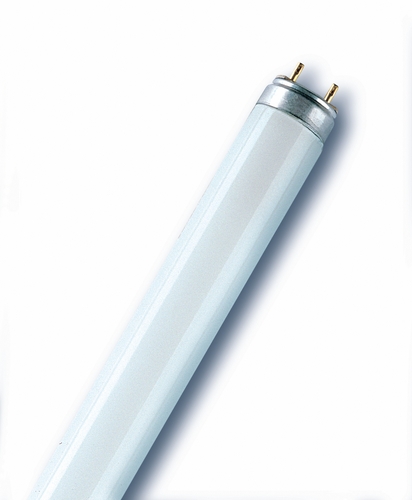 Osram FLUORA L 58W/77 Leuchtstoffröhre Frontansicht