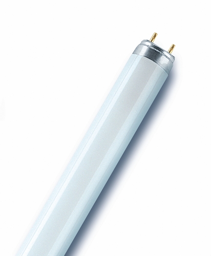Osram Leuchtstofflampe L 30W/965 BIOLUX Frontansicht