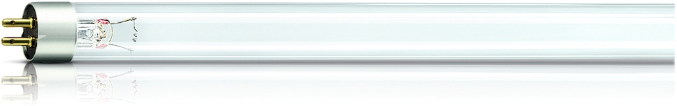Philips UV-Lampe TUV TL 8 Watt UV-C Frontansicht
