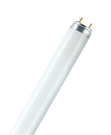 Leuchtstofflampen