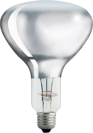 Philips Infrarot-Lampe R125 IR 375W E27 Frontansicht