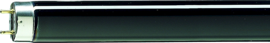 Philips Leuchtstofflampe TL-D 18W BLB Frontansicht