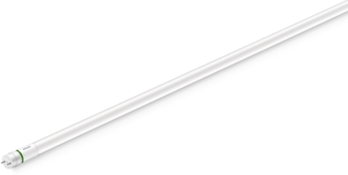 MASTER Value T8 UltraEfficient KVG/VVG/230V