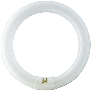 Philips Leuchtstofflampe TL-E 22W 840 in Frontansicht