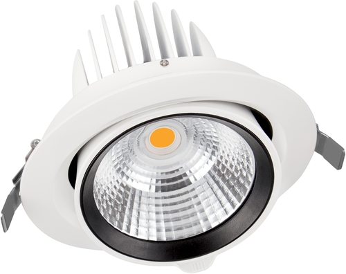 Downlight SP VARIO DN170 35W 4000K 24DEG WT Frontansicht