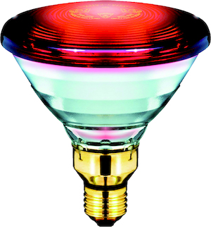 Philips Infrarot-Lampe PAR38 150W Frontansicht