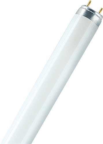 Osram Leuchtstofflampe 36W 840-1 Frontansicht Produktfoto