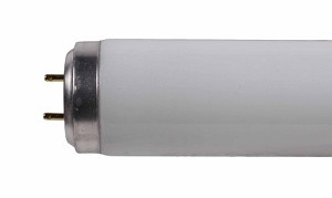 Leuchtstoffröhre Sylvania 40W 590mm Frontansicht