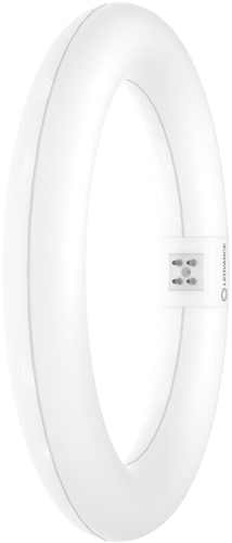 LED-Leuchtstoffröhre LEDTUBE T9C EM V 22 11W 840 G10Q Frontansicht