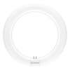 LED TUBE T9 EM VALUE