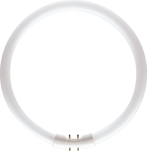 Philips Leuchtstofflampe MASTER TL5 CIRCULAR 22W 830 Frontansicht