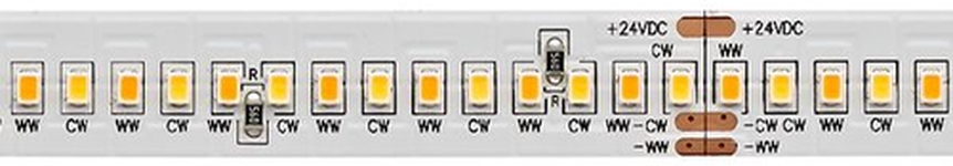 Sigor LED Flexband Tunable White 20W/m 5m 288LED/m Frontansicht