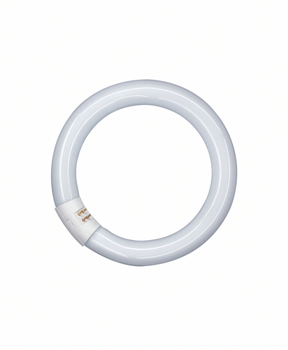 Osram Leuchtstofflampe 22W 865 C G10Q Frontansicht