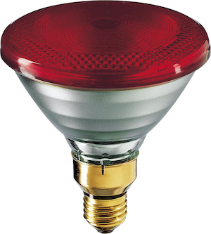 Philips Infrarot-Lampe PAR38 175W Frontansicht